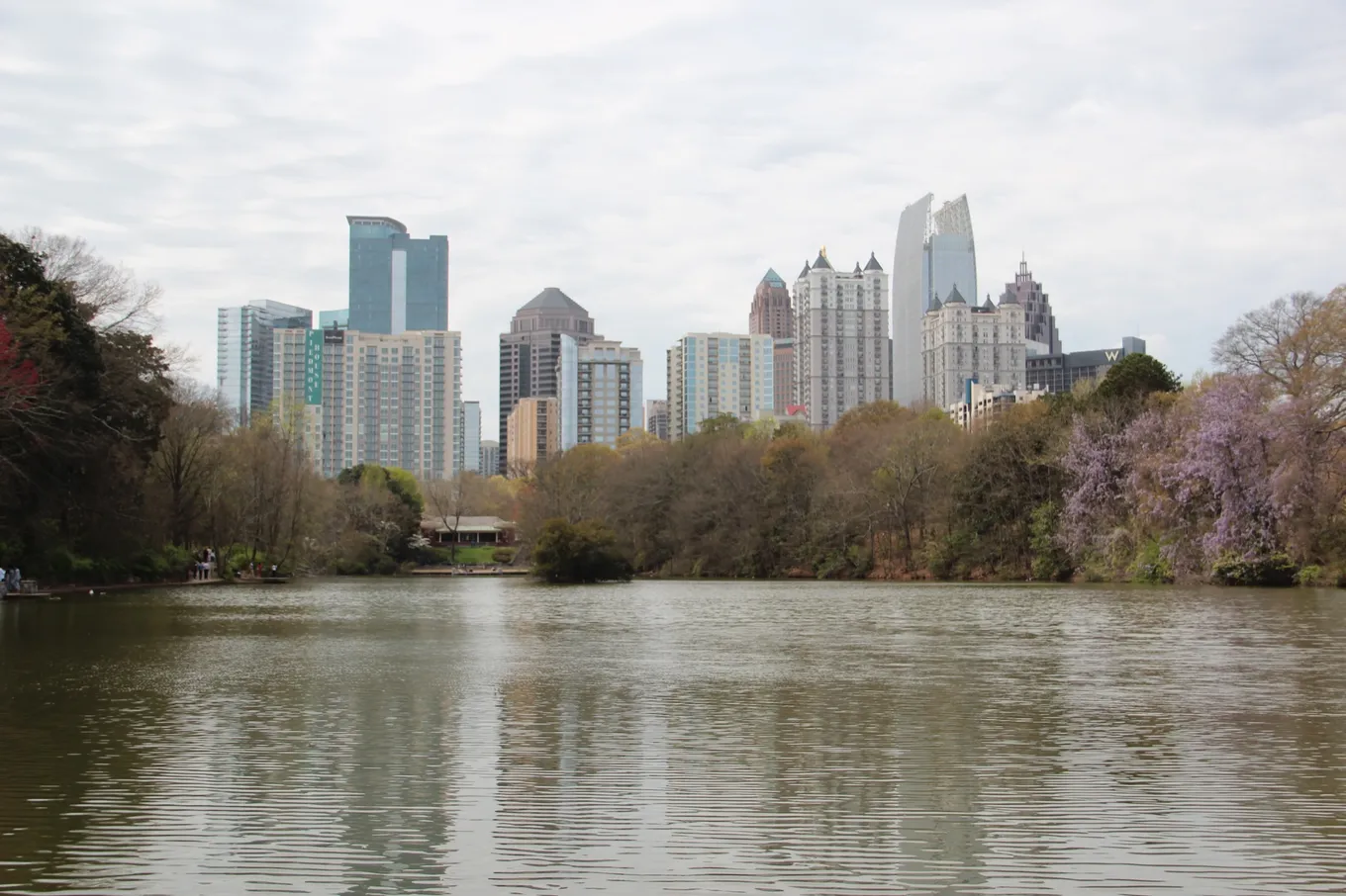 Clădirile din Midtown Atlanta văzute peste lacul din Piedmont Park, cu pomi înfloriți pe mal.