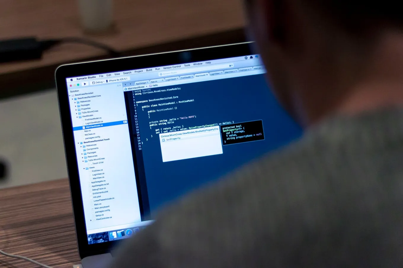 Un programator, văzut din spate, scriind cod pe un laptop.
